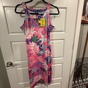 Banana Republic Pink and Blue Floral Dress